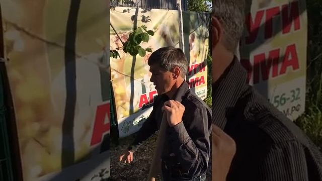 Как помочь дереву после подтопления смотреть онлайн