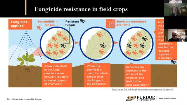 Crop Disease and Response to Foliar Fungicides Featuring Dr. Darcy Telenko смотреть онлайн