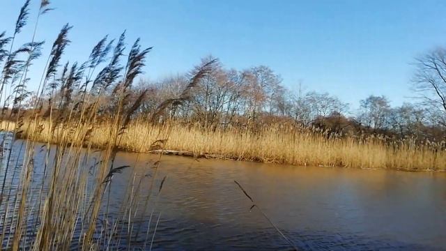 Поисковый магнит Литва Искупались! смотреть онлайн