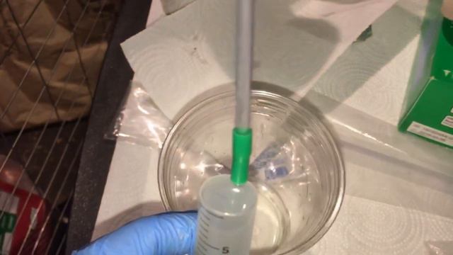 Using Artificial Insemination to breed Cane Corsos смотреть онлайн