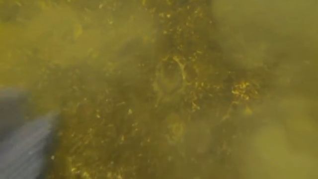 ГОРЬКАЯ ПРАВДА О КАХОВСКОМ ВОДОХРАНИЛИЩЕ Новая Каховка 8 08 2018 смотреть онлайн