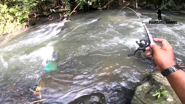Mancing Ikan Termahal Didunia Persiapan Ramadhan Fishing смотреть онлайн