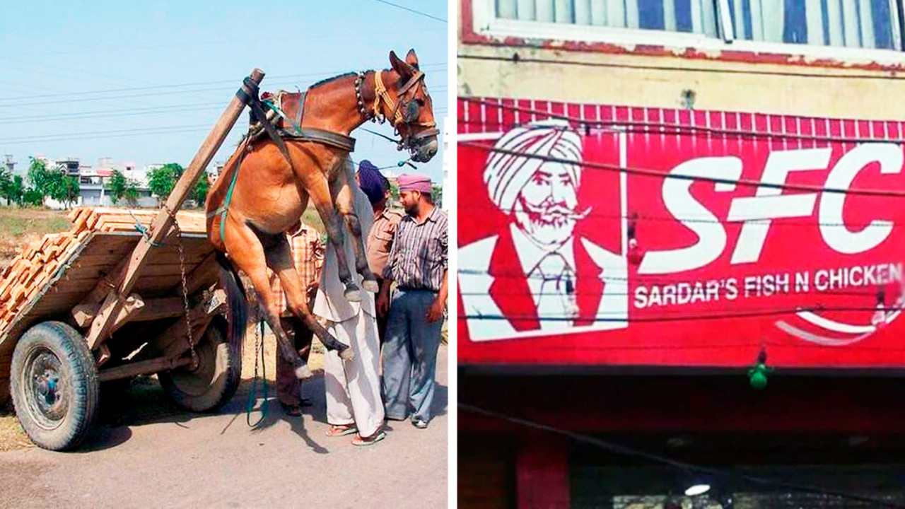 В Индии всегда Болливуд! смотреть онлайн