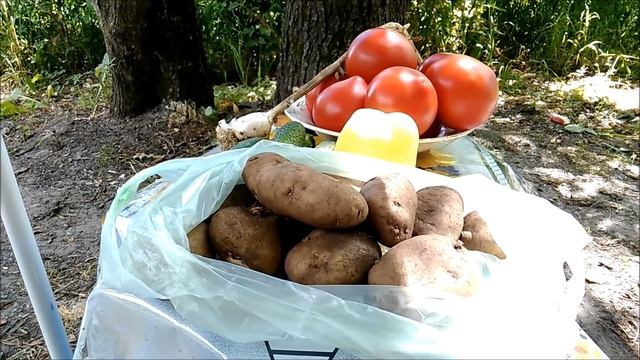 Отдыхаем в лесу с Frankie Stein 2014 || Жарим маршмеллоу и кукурузу на костре || Украина смотреть онлайн