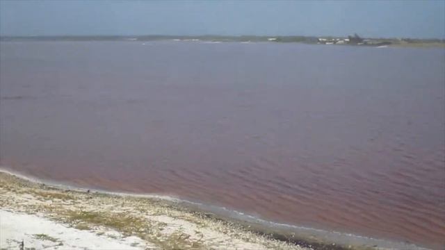 Dakar and pink lake, Senegal. Western edge of African continent. смотреть онлайн