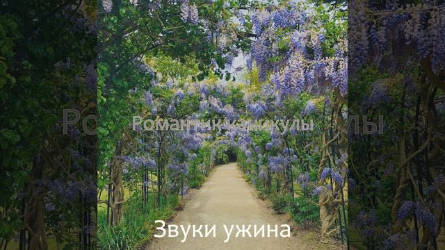 Выдающийся - Фоновая музыка дача смотреть онлайн