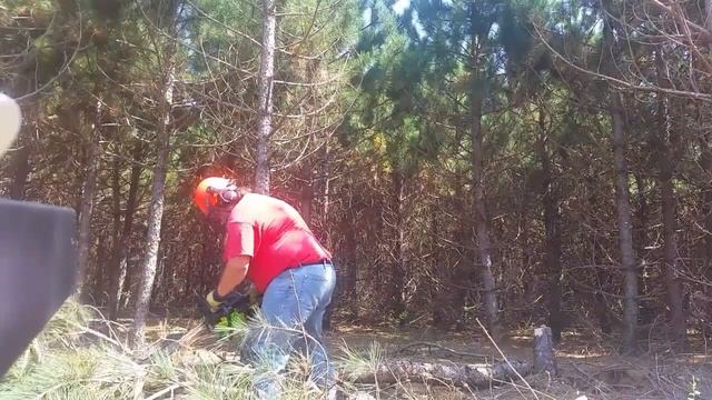 TimberPro CS2500 Vs 45cc Chinese Chainsaw Vs Husqvarna 390xp смотреть онлайн