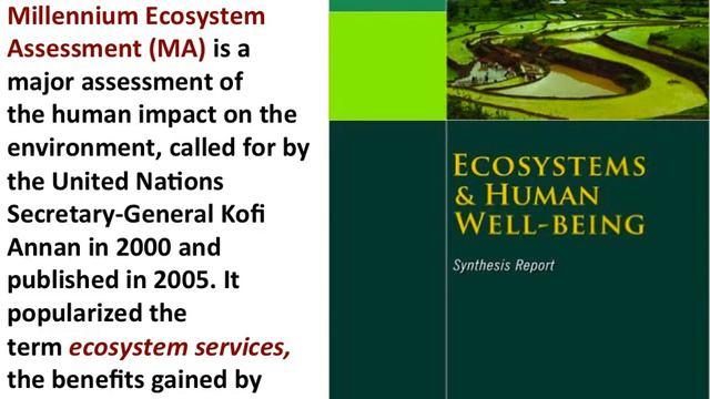 IB ESS - Water, Aquatic Food Production Part XI смотреть онлайн