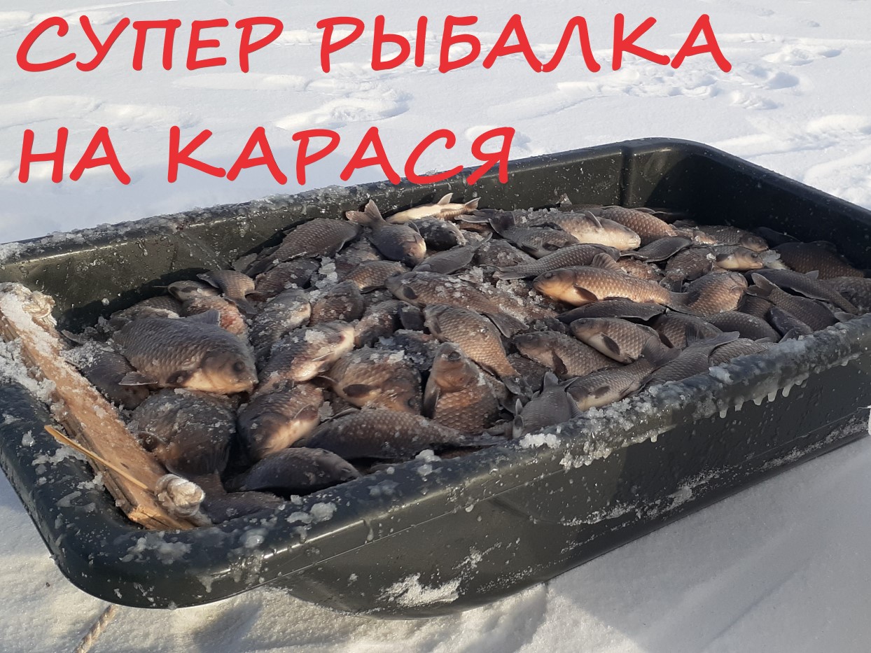 рыбалка на карася зимой смотреть онлайн