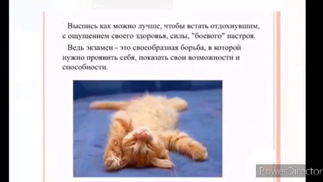 ТЖПТК - Бейсетов А. А. Советы студентам: Как успешно подготовиться к сдаче экзаменов. смотреть онлайн