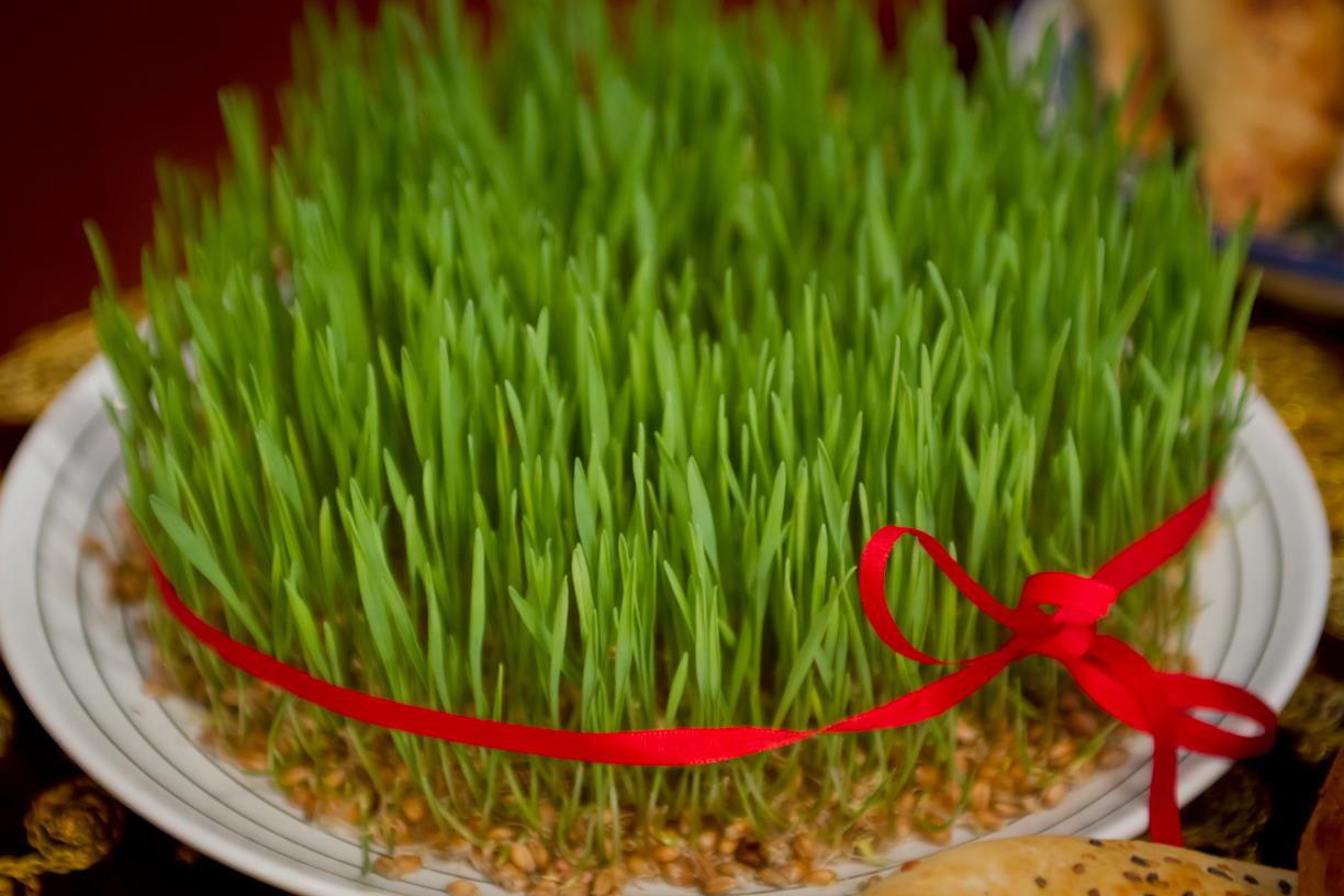 Навруз Байрам! Очень Красивое Поздравление с Праздником Навруз!