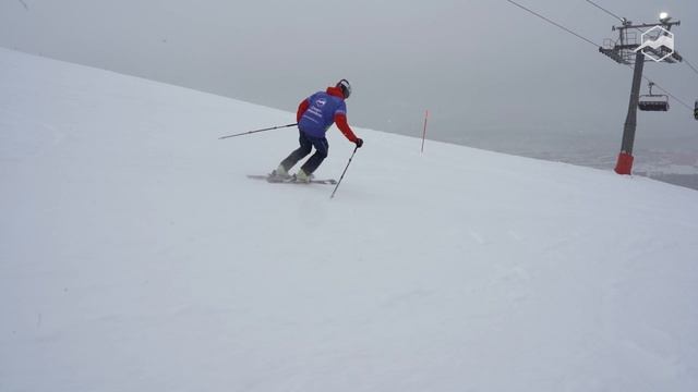 Горные лыжи Salomon S/Force Fx.80 2021-2022. Обзор смотреть онлайн