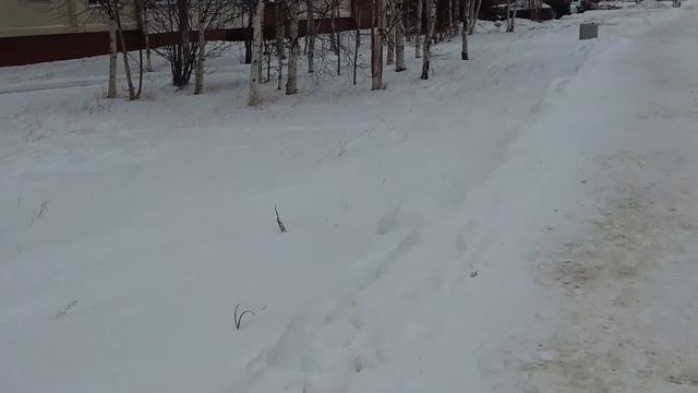 Пешком по Когалыму. Парк Победы. От улицы Сибирская до улицы Дружбы Народов 40. Часть 3. Ноябрь 202 смотреть онлайн