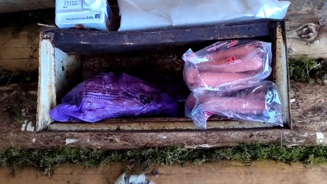 STELS S600 VIKING/В тайге на новогодних выходных смотреть онлайн