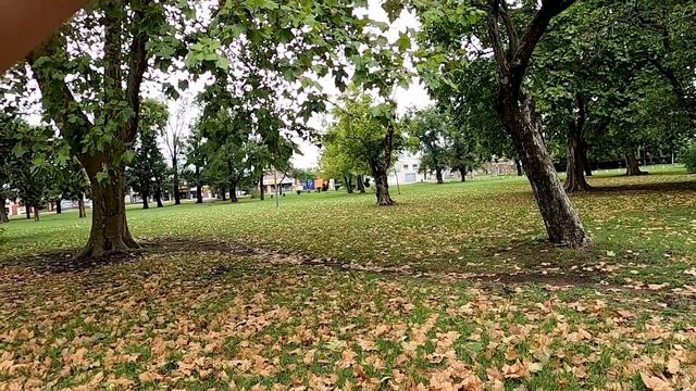 Prueba del lente NIKKOR Z 50-250 f 4.5-6.3 MONTADO EN LA NIKON Z50 #streetphotography #nikonz50 смотреть онлайн