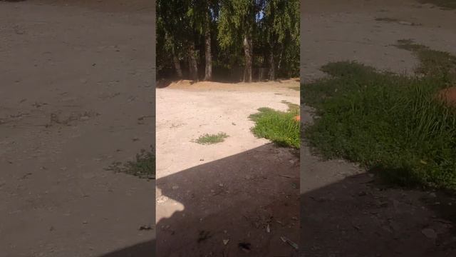 боже ненавижу свой голос он такой ужасный но ладно смотреть онлайн