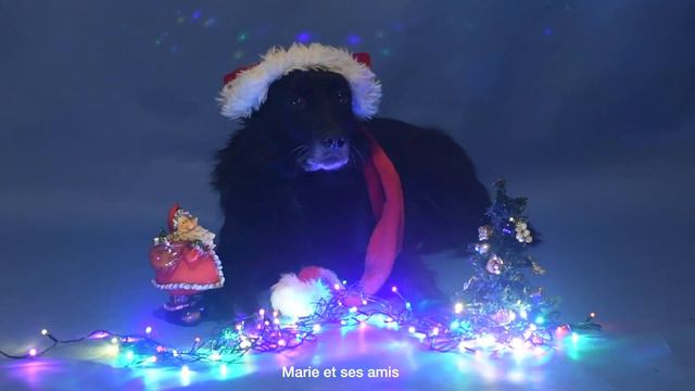 Загадываем желания под ёлочкой! смотреть онлайн