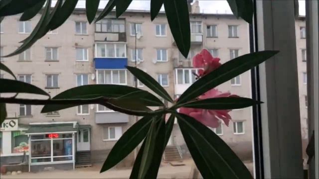 Vlog/кем я работаю и когда же будет тепло?/мои покупки одежды от Faberlic смотреть онлайн
