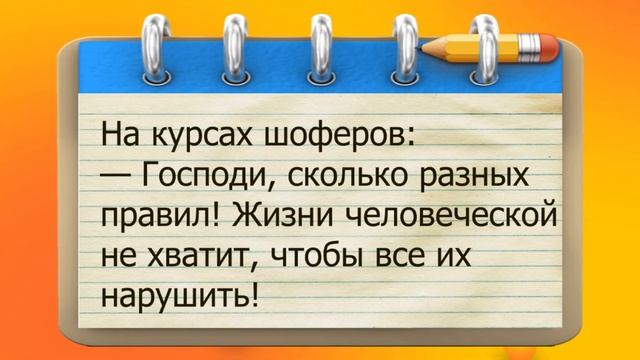 ✔️Мы бабы сильные и мусор вынесем, и мозг, если нужно! Анекдоты с Волком.#ВГостяхУВолка смотреть онлайн