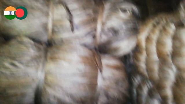 Jute Busness, পাট ব্যাবসার আইডিয়া,,, যারা নতুন পাটের ব্যাবসা করতে চান তারা অবশ্যই ভিডিও টি দেখুন।। смотреть онлайн