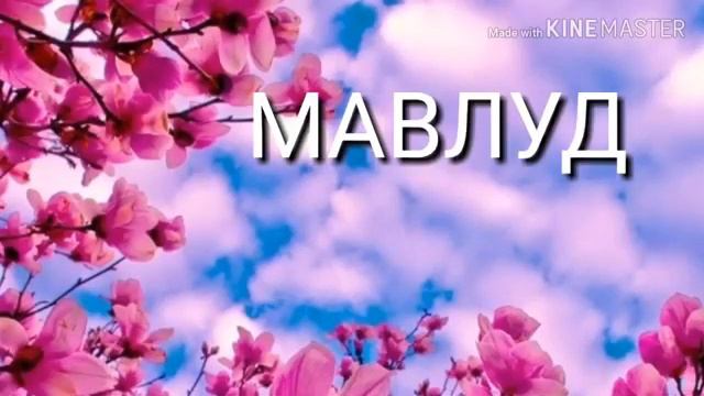 Мавлуд смотреть онлайн