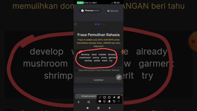CARA  INSTAL PHANTOM WALLET DI YANDEX ALPHA BROWSER
