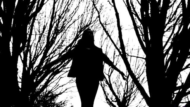 My Immortal - Evanescence - Piano voix смотреть онлайн