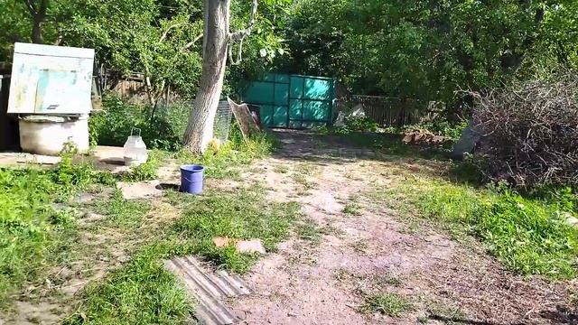 Как правильно построить сарай?