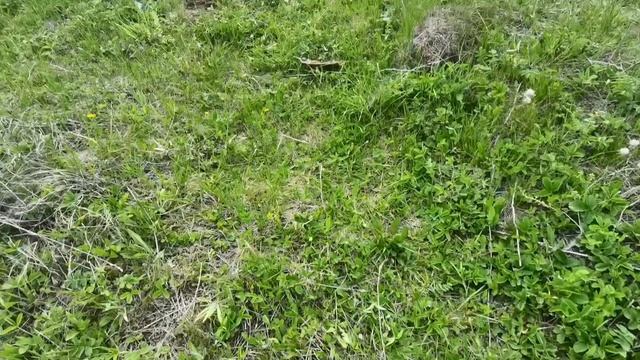 Линии со сменой рельефа через воду.mp4