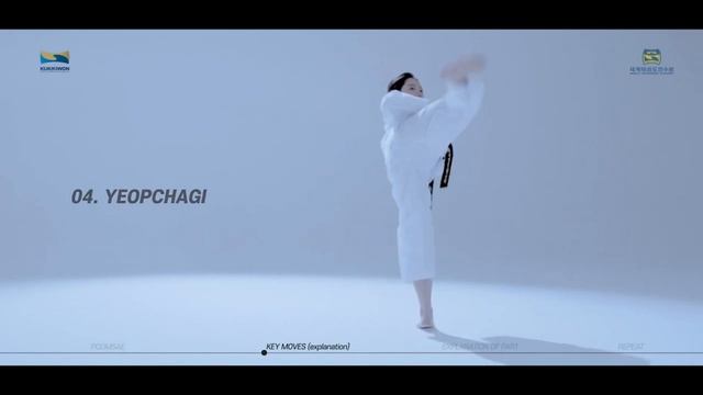 TAEGEUK SA JANG (ПХУМСЭ 4) TAEKWONDO POOMSAE