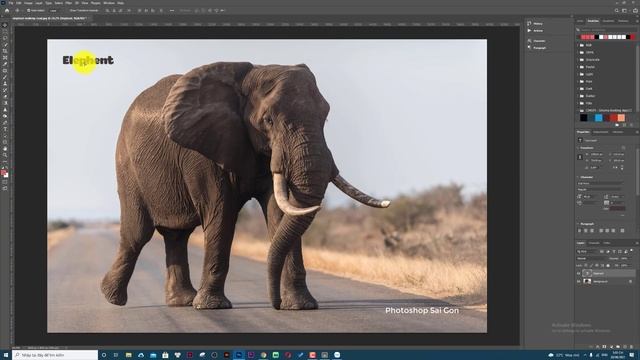 Hướng dẫn xuất file ảnh trong Photoshop | Lưu Jpg, Png và Psd смотреть онлайн