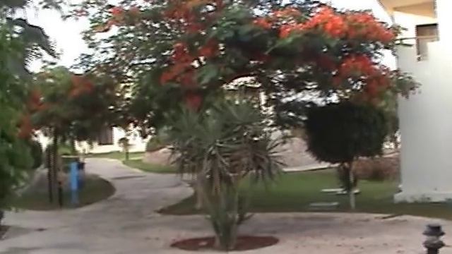 Недорогой отдых в Египте, Египет Шарм-аль-Шейх смотреть онлайн