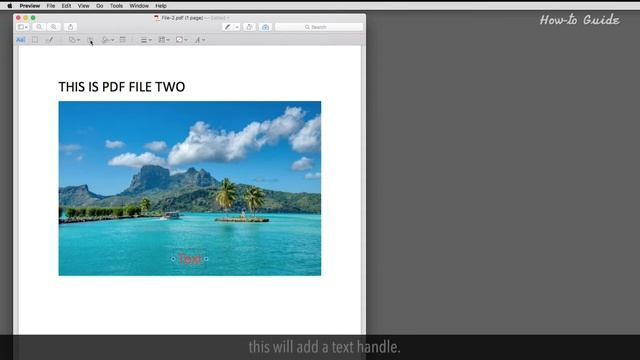 How To Type On A PDF Document on Mac смотреть онлайн