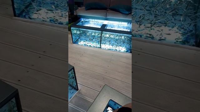 SPA процедуры в Алуште. 27.05.21. Хохот стоял минут пять, я очень боюсь щекотки! Рекомендую??? смотреть онлайн