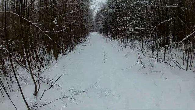 Охота с Боем на зайца.Все бывает в первый раз. смотреть онлайн