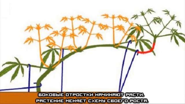 Метод LST