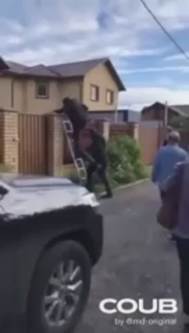 приколы - борис бритва смотреть онлайн