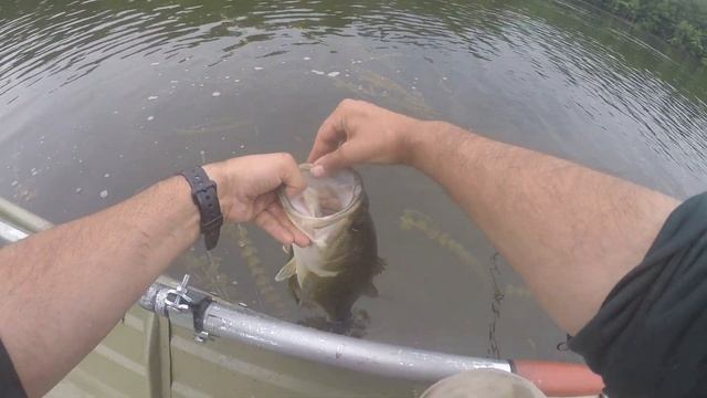 Largemouth Bass Worm Fishing - AMAZING BERKLEY POWERBAIT POWERWORM - The BIG MOUTHS Get BIG!!! смотреть онлайн