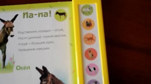 Книга « Домашние друзья»
