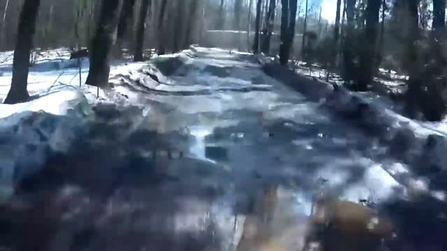 ТОП 5 ЛУЧШИХ ПРЕСЛЕДОВАНИЙ ДПС за Питбайком! От ДПС на питбайке! 2019 Год Свежее смотреть всем! смотреть онлайн