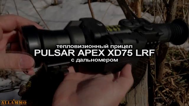 Dedal 490 (3 пок.) и Pulsar Apex 75 LRF | Магазин ALLAMMO.RU смотреть онлайн