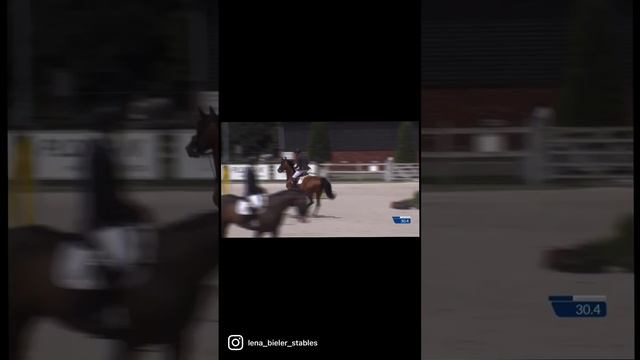 Untouched (Bel) LB (United Touch S x Cornet Obolensky) Summer 2022 смотреть онлайн