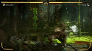 Mortal Kombat 11: Shao Kahn Vs. D'Vorah (Hard) Walkthrough | No Commentary