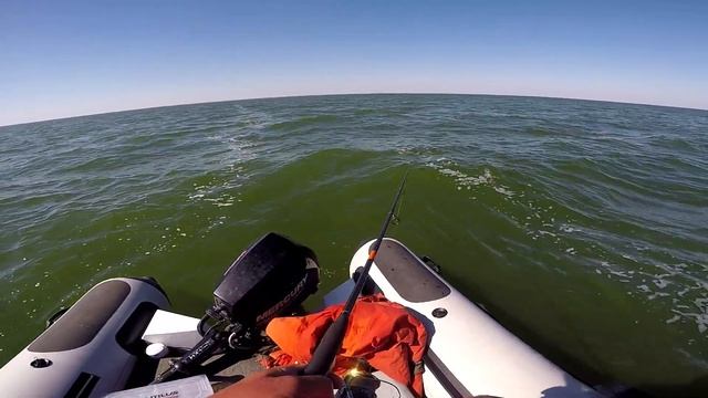 РАЗДАЧА судака на приманки NARVAL 1 часть