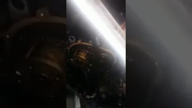Timing chain VW Golf V 1.4 TSI смотреть онлайн