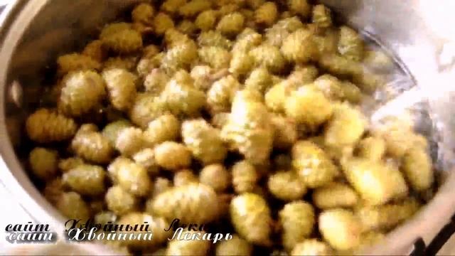 Приключения на Природе