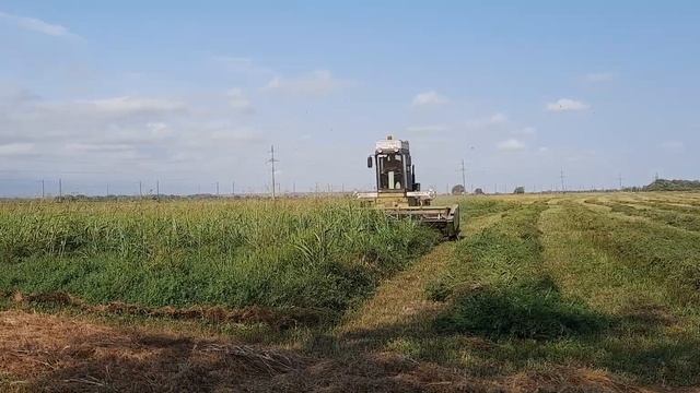 11 марта 2022 г. смотреть онлайн