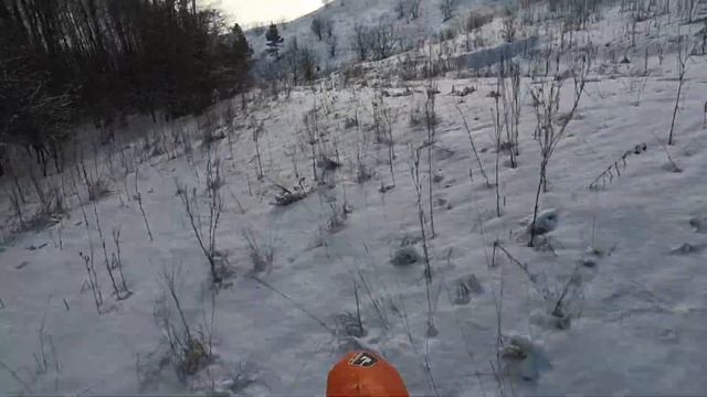Рыкань 30.01.21 смотреть онлайн