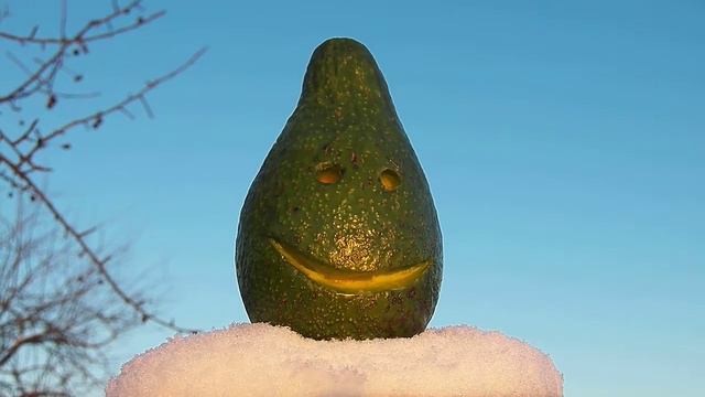 С ДНЕМ РОЖДЕНЬЯ ОЛЯ от Авокадыча