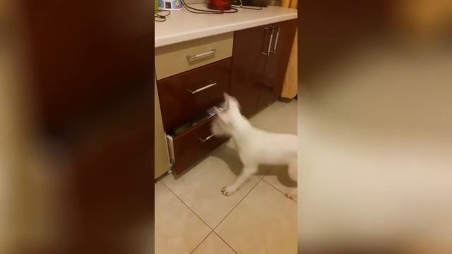 Когда не дают побыть в одиночестве смотреть онлайн